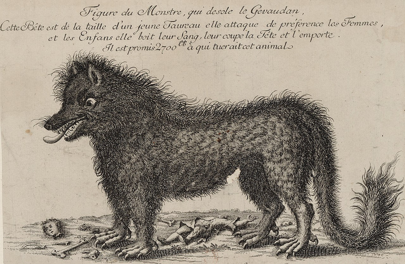 Ilustración de la época ofreciendo una recompensa de 2.700 francos por la captura de la bestia. El texto dice: “Dibujo del monstruo que aflige a Gévaudan. Esta bestia es del tamaño de un toro joven. Prefiere atacar a mujeres y niños. Bebe su sangre, les corta la cabeza y se los lleva. Se prometen 2700 libras a quien mate a este animal.”